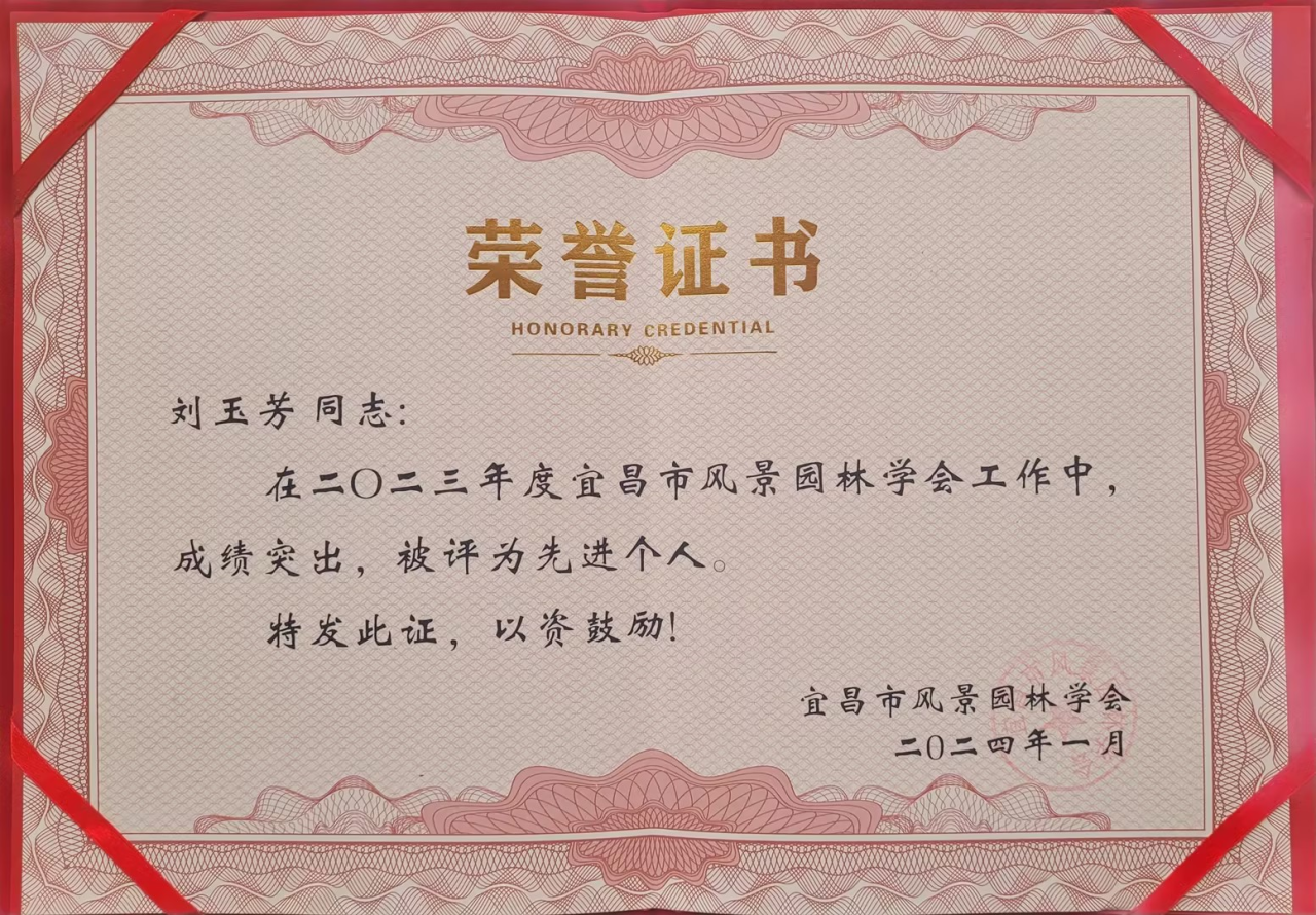 ʱǲ(й)ٷվ